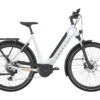 Gazelle Ultimate T10 smart system