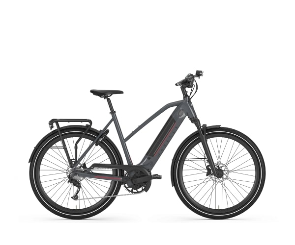 Gazelle Ultimate T10+