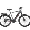 IMG_6613 Gazelle Ultimate T10+