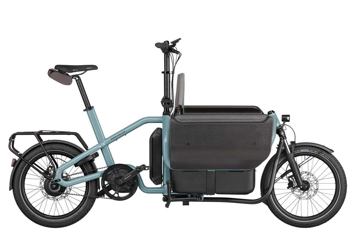 Riese & Müller Carrie Vario - Image 3