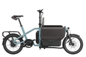 Riese & Müller Carrie Vario