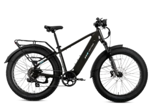 XPeak2 High-Step eBike