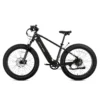 XPeak2 High-Step eBike